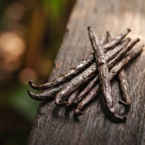 Vanilla Planifolia Grade A